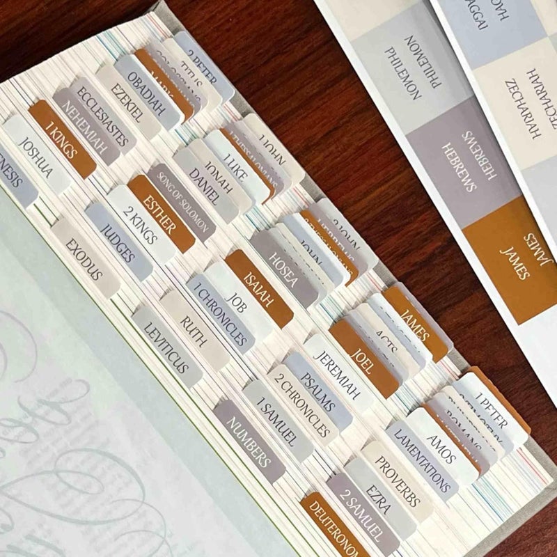 thinkor Reposition Laminated Bible Tabs, Large Print Stickers, Easy to Read & Apply Bible Tabs for Women & Man (Winter Snow) - Image 1